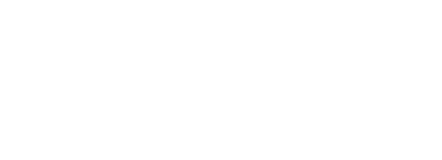 Orsa Logo